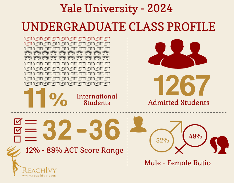 Yale Undergraduate Infographic