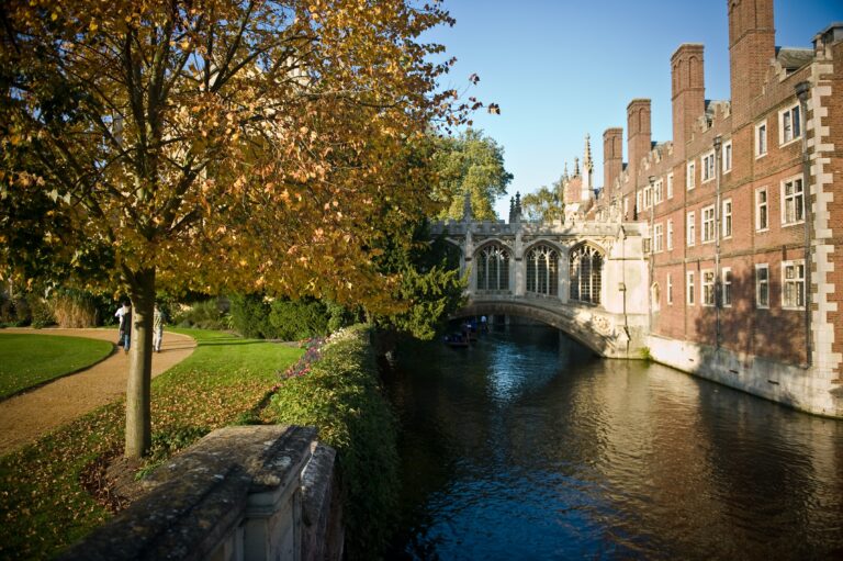 Top Colleges in Europe with Stellar MBA Programs
